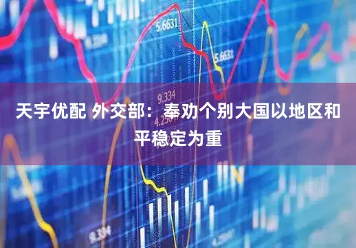 天宇优配 外交部：奉劝个别大国以地区和平稳定为重