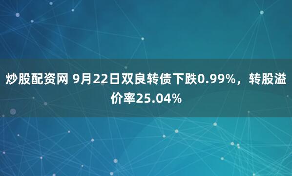 炒股配资网 9月22日双良转债下跌0.99%，转股溢价率25.04%